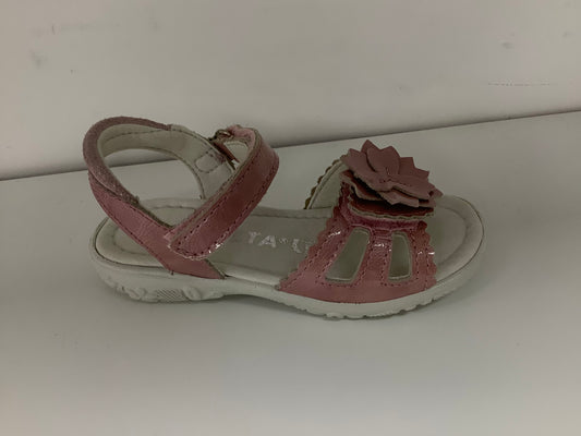 Ricosta 6429300/332 Marsala