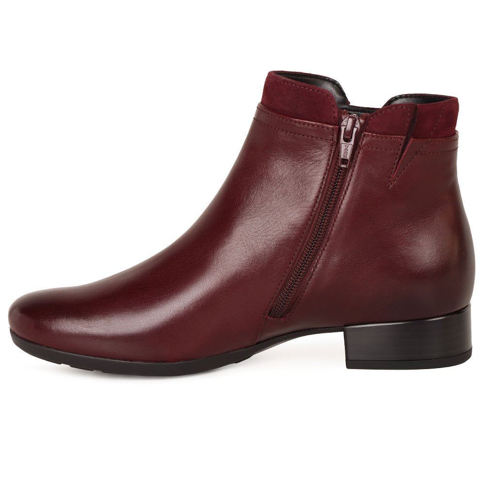 Gabor 8031.02.005 Ladies Briano Bordo Ankle Boot