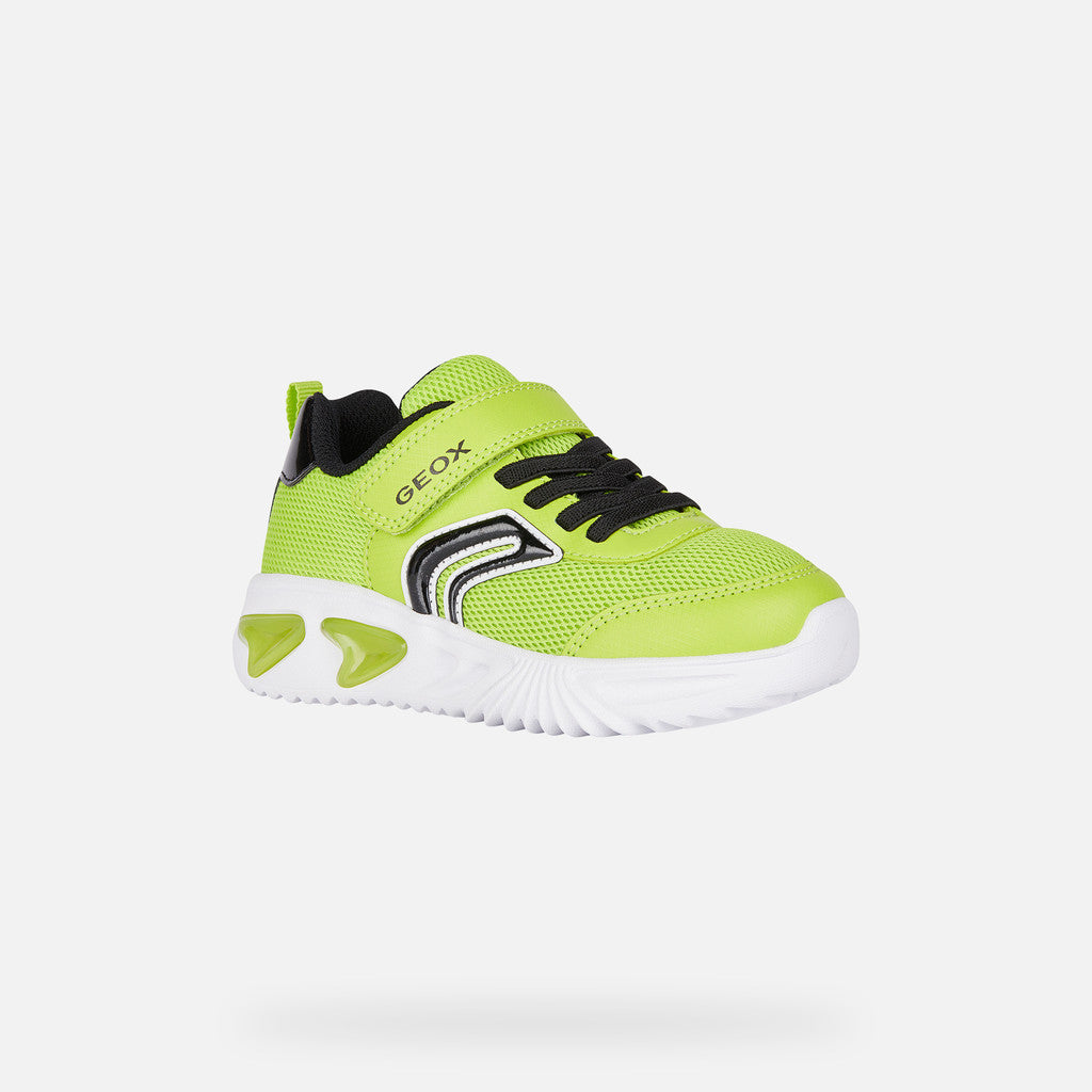 Geox Boys J45DZC J Assister Lime/Black Trainer