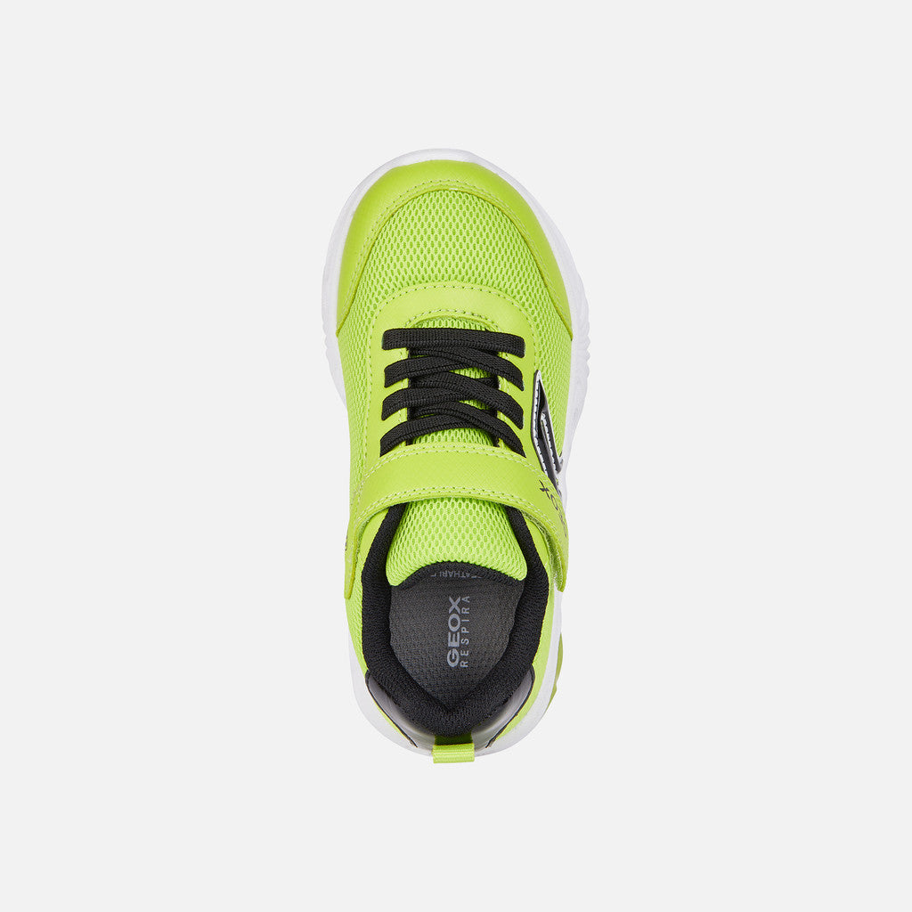 Geox Boys J45DZC J Assister Lime/Black Trainer