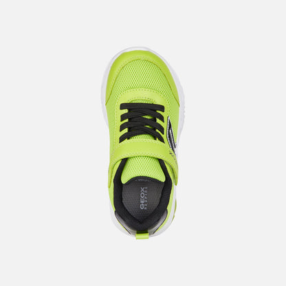 Geox Boys J45DZC J Assister Lime/Black Trainer