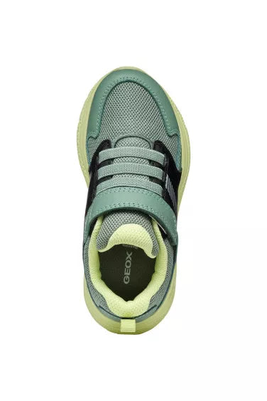 Geox J55GBA J Sprintye Boys  Green/Black Trainer